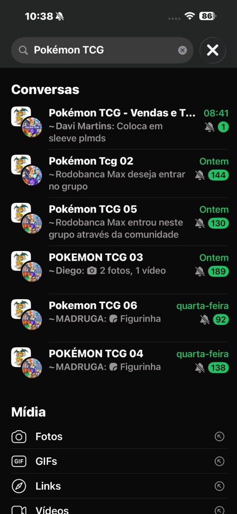 Print dos vários grupos de WhatsApp lotados de membros